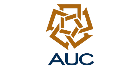 The American University in Cairo