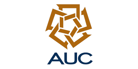 The American University in Cairo